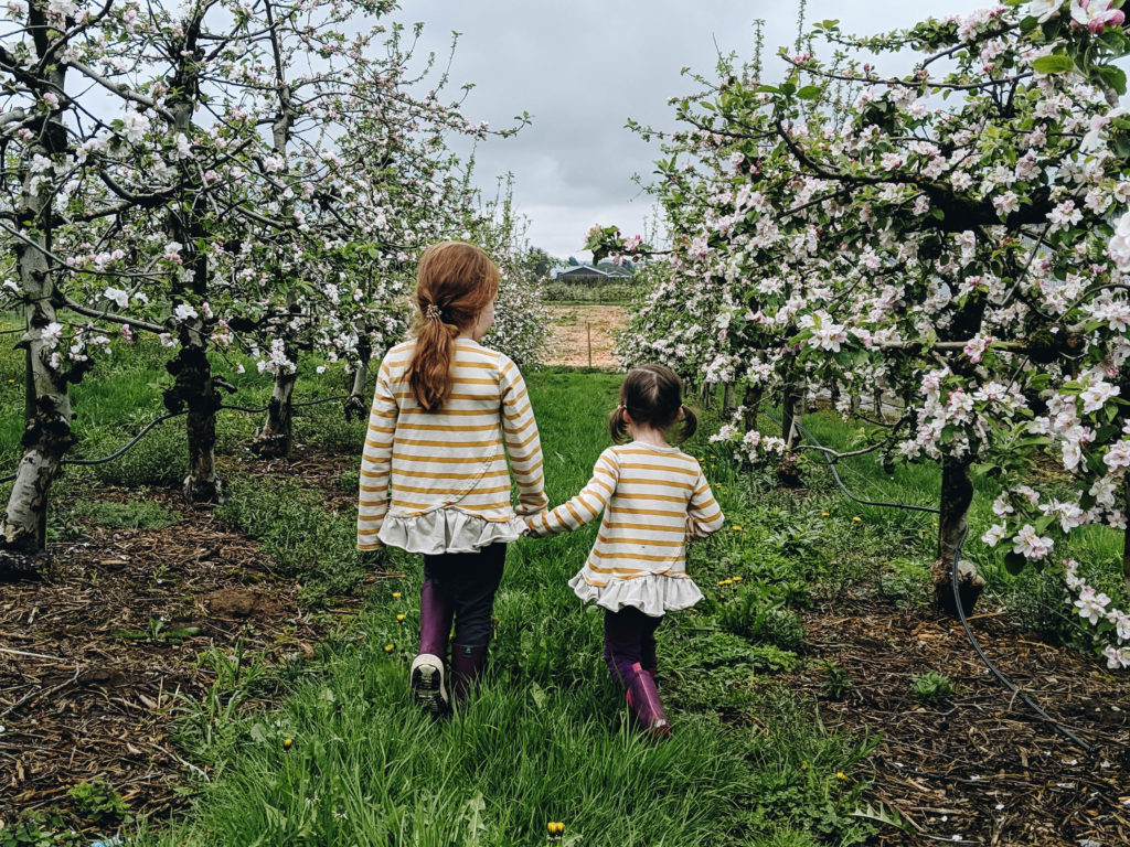 Easter Weekend Visiting Taves Family Farms - Discovering Parenthood