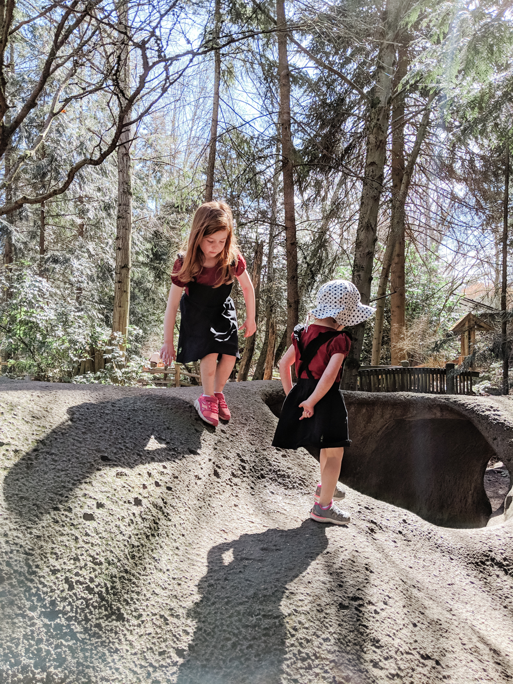 Going To The Woodland Park Zoo - Discovering Parenthood