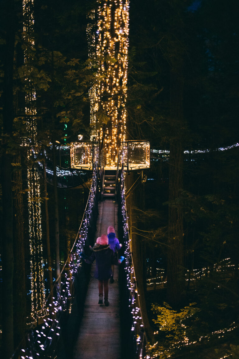 All The Lights At Canyon Lights Capilano Suspension Bridge